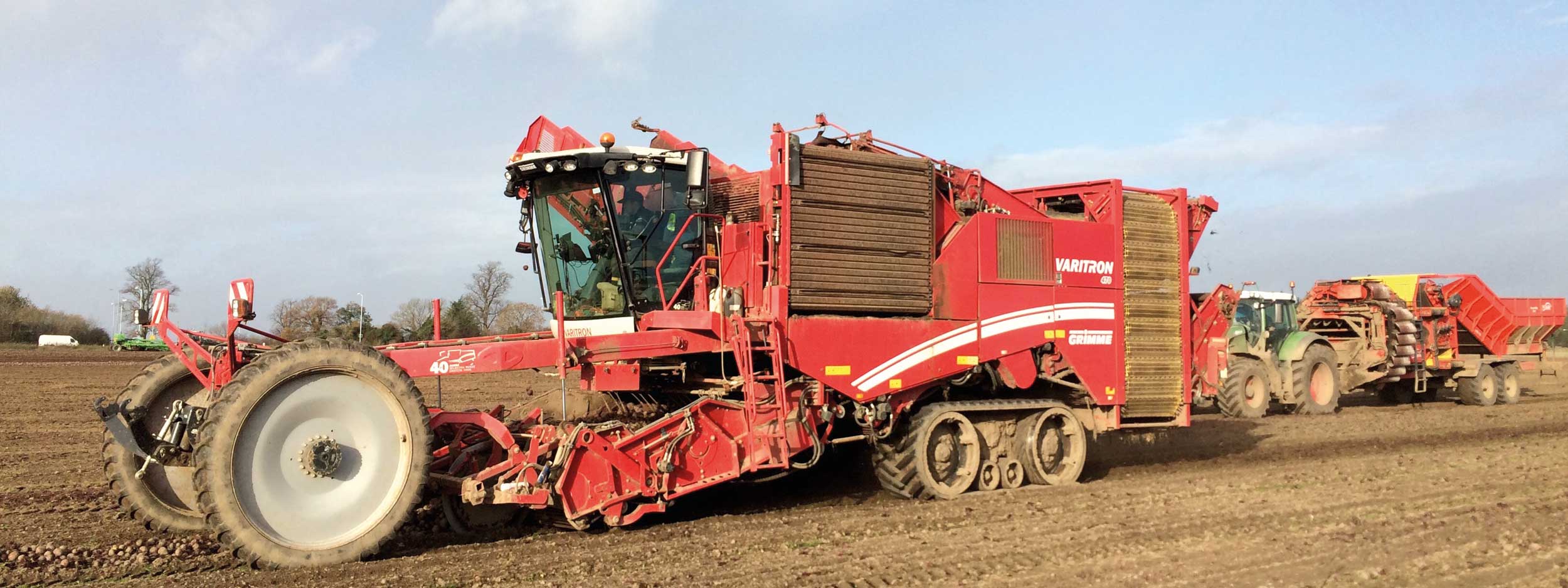 Stan White Farms are able to harvest up to 500 ton of beetroot per day